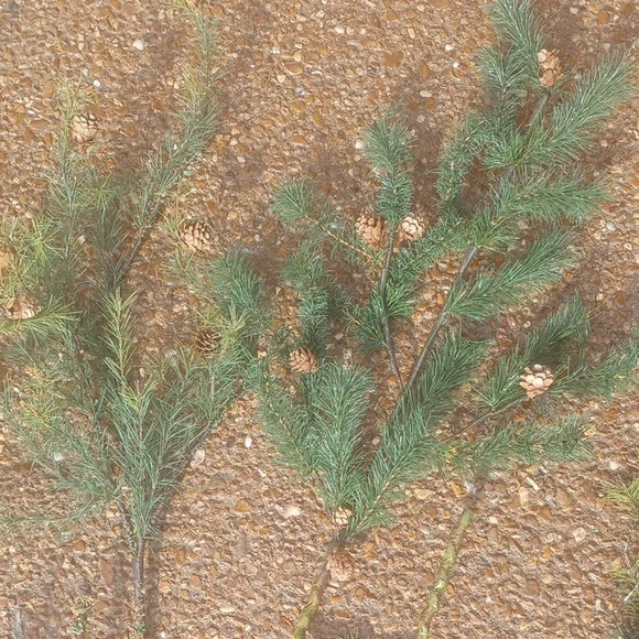Christmas Decor Artificial Pine Branches with Pinecones - Picture 1 of 8